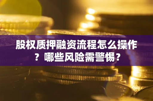 济南股权质押融资流程怎么操作？哪些风险需警惕？
