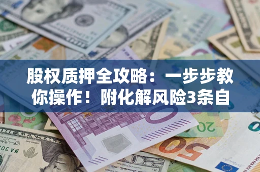 济南股权质押全攻略：一步步教你操作！附化解风险3条自救法则