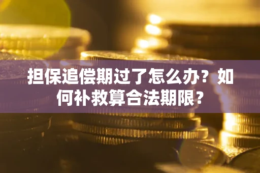 济南担保追偿期过了怎么办？如何补救算合法期限？