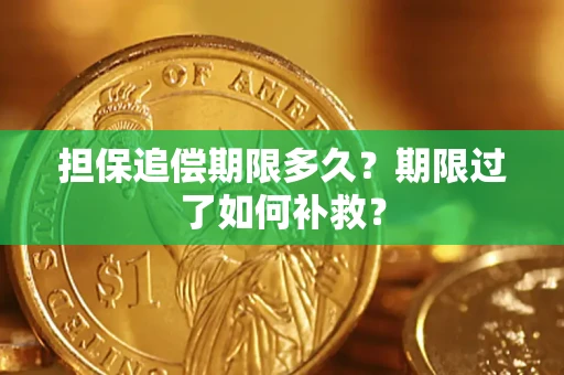 济南担保追偿期限多久？期限过了如何补救？