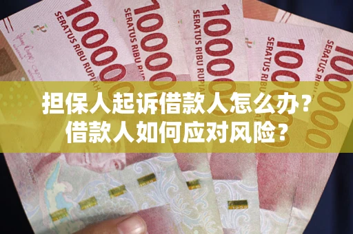 济南担保人起诉借款人怎么办？借款人如何应对风险？