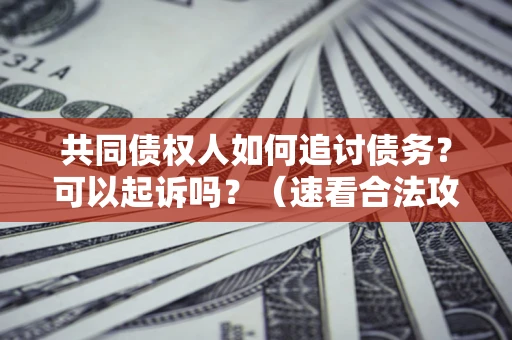 济南共同债权人如何追讨债务？可以起诉吗？（速看合法攻略）