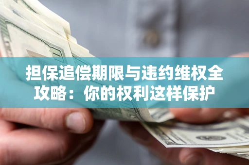 济南担保追偿期限与违约维权全攻略：你的权利这样保护